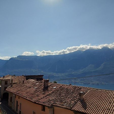 Ulivi Sul Garda Garden By Gardadomusmea Apartamento Tremosine Exterior foto