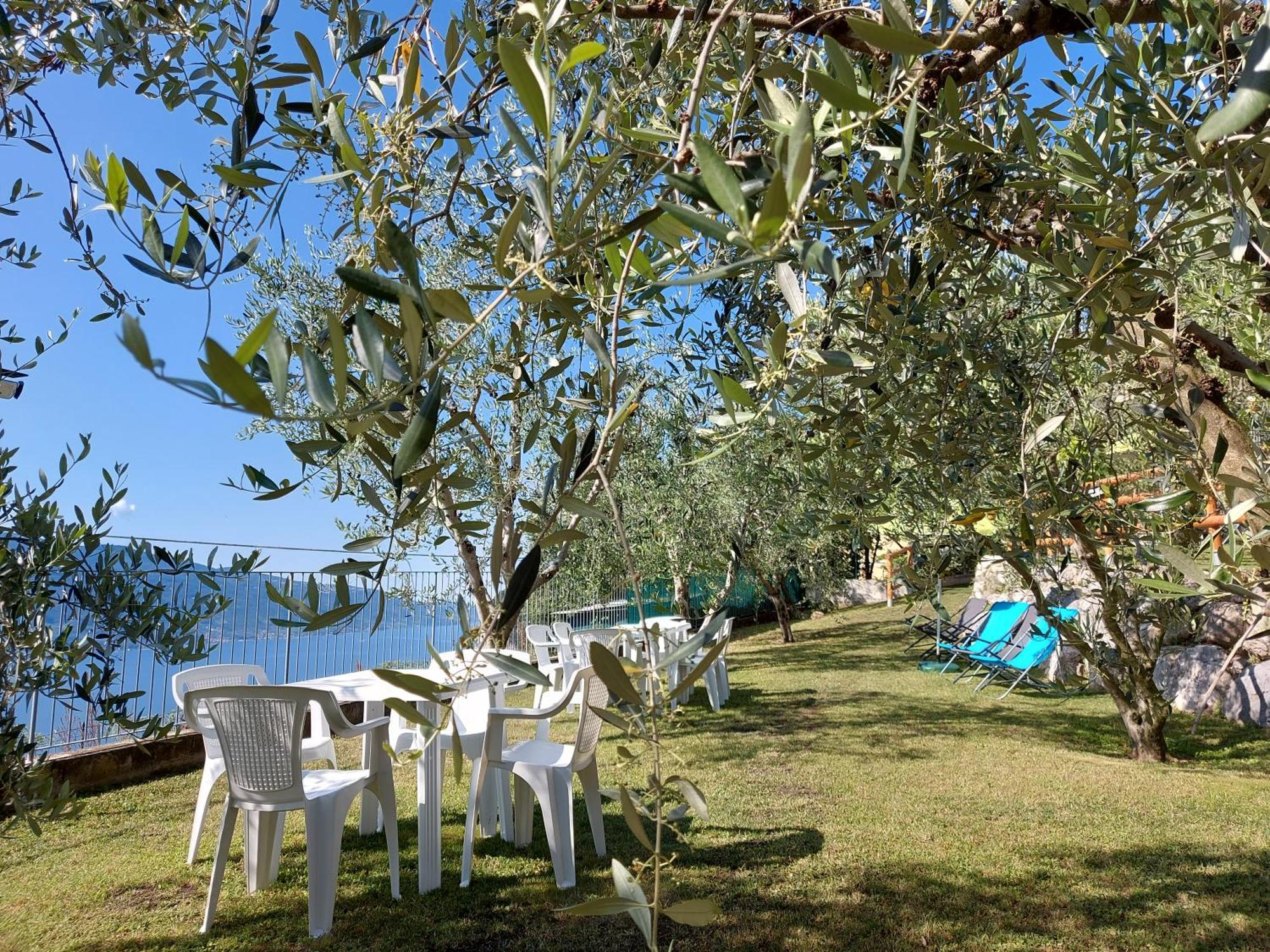 Ulivi Sul Garda Garden By Gardadomusmea Apartamento Tremosine Exterior foto