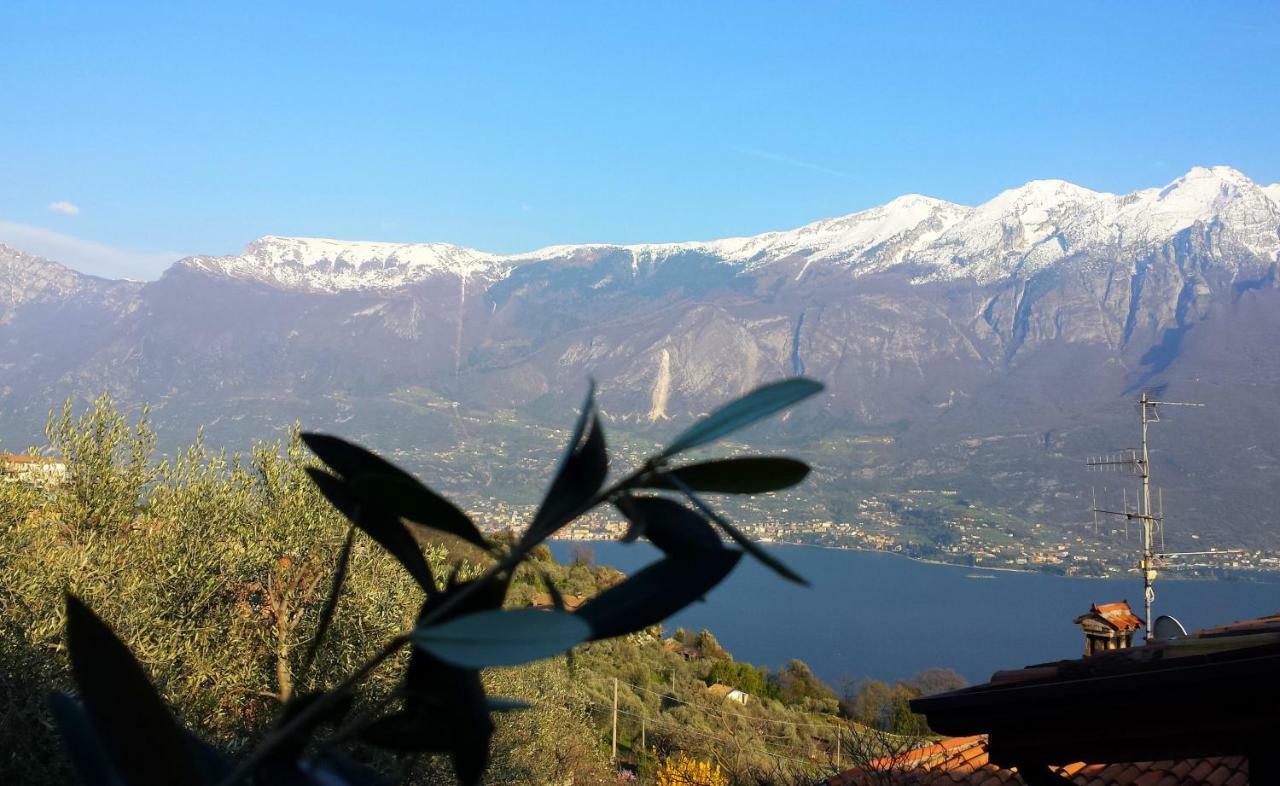 Ulivi Sul Garda Garden By Gardadomusmea Apartamento Tremosine Exterior foto