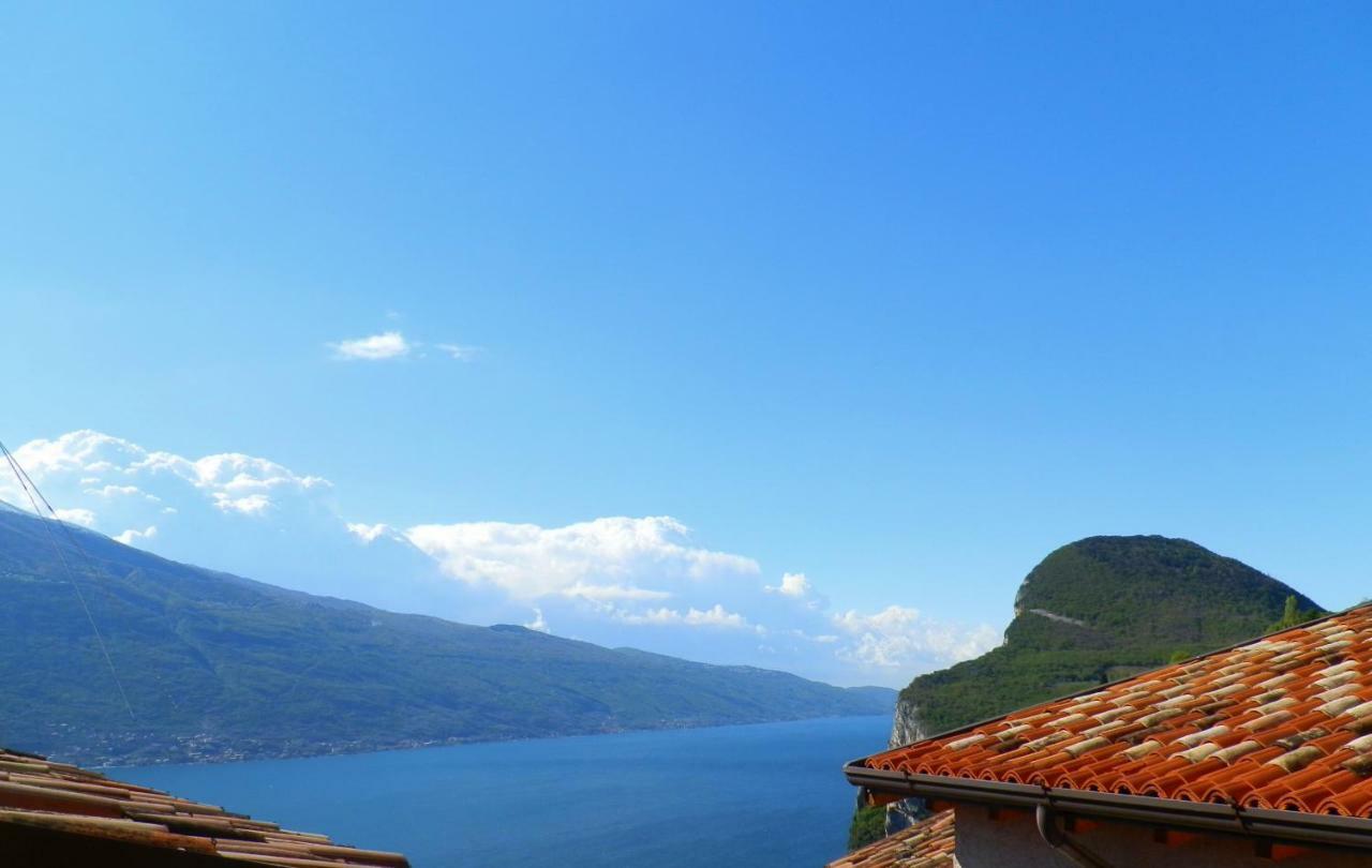 Ulivi Sul Garda Garden By Gardadomusmea Apartamento Tremosine Exterior foto