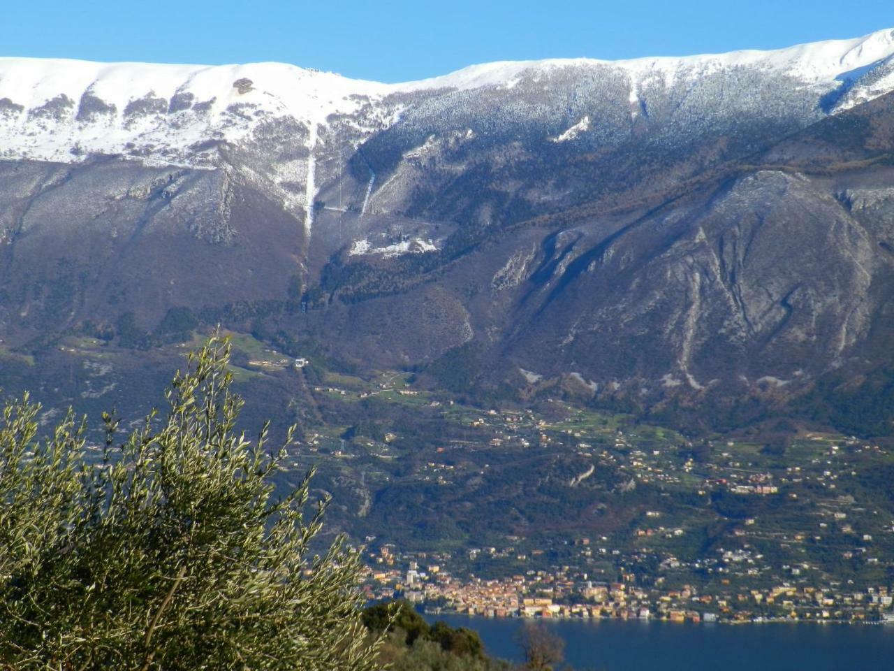 Ulivi Sul Garda Garden By Gardadomusmea Apartamento Tremosine Exterior foto