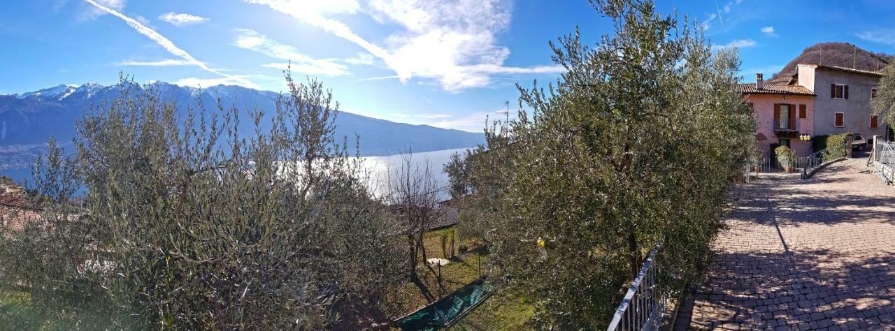 Ulivi Sul Garda Garden By Gardadomusmea Apartamento Tremosine Exterior foto