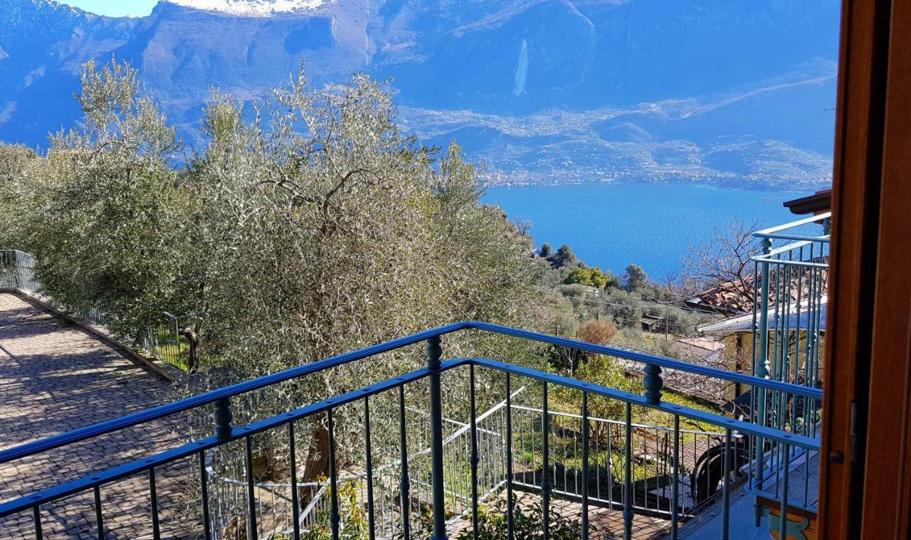 Ulivi Sul Garda Garden By Gardadomusmea Apartamento Tremosine Exterior foto