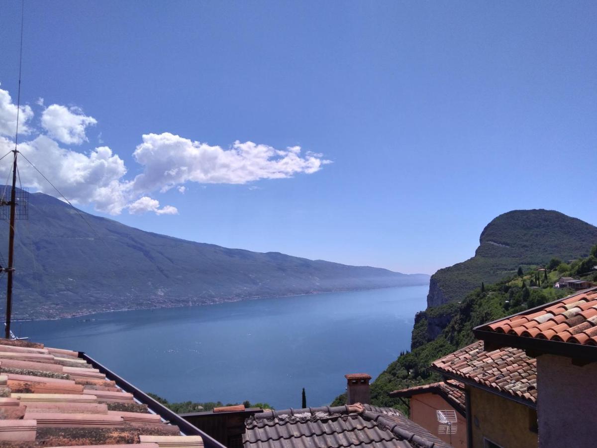 Ulivi Sul Garda Garden By Gardadomusmea Apartamento Tremosine Exterior foto